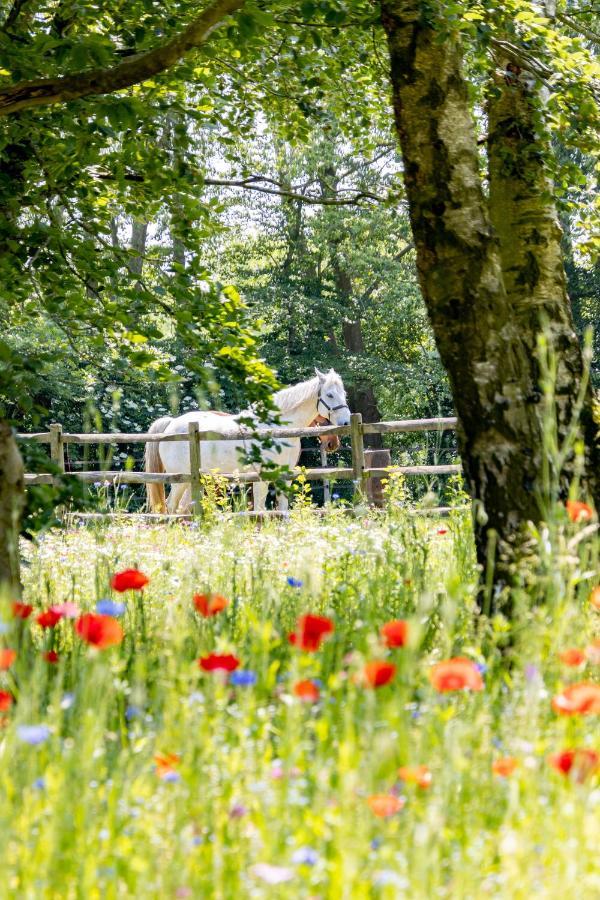 ברוז' Equilodge 'T Blommeke - Reconnect With Nature מראה חיצוני תמונה